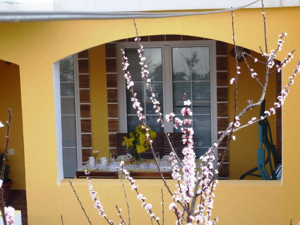 Apartments Brac Supetar Oda fotoğraf