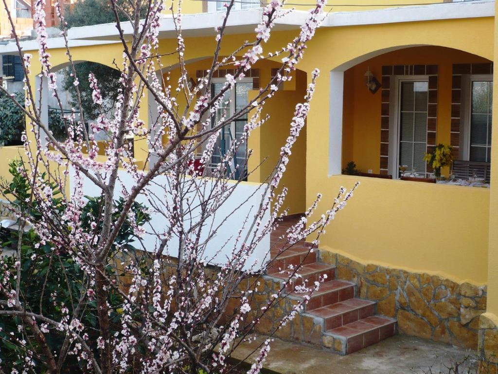 Apartments Brac Supetar Dış mekan fotoğraf